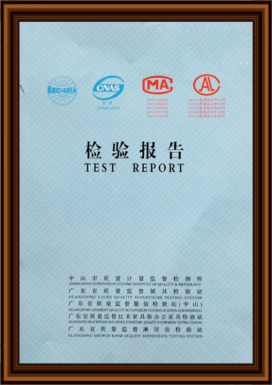 漆強(qiáng)漆檢驗(yàn)報(bào)告 漆強(qiáng)漆檢驗(yàn)報(bào)告