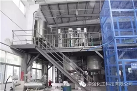 拓能集團漆強公司新廠正式投產(chǎn).jpg