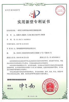 一種用于治理黑臭水體的生物修復系統(tǒng)--實用新型