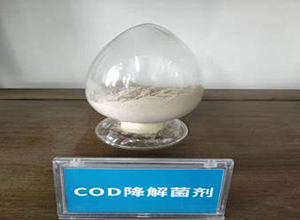 COD高效降解菌劑